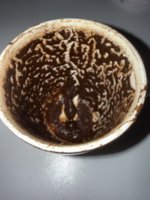 IMG_0344.jpeg