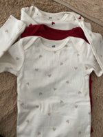 IMG_2585.jpeg