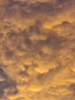 20250830_190738.jpg
