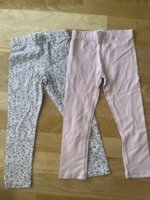 IMG_1585.jpeg