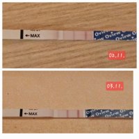 shared image (11.jpg