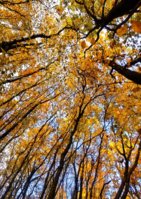 1000004052_50 (1).jpg