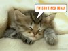 im_so_tired_today-1592.jpg