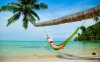 woman-hammock-tropical-beach-palm-beach-ocean-nature.jpg
