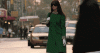 shetam.gif