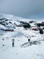 82362645_2894040713968827_7730304549927256064_n (1).jpg