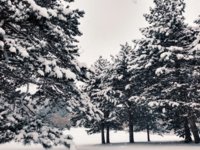 2019-01-04 08.10.34 1.jpg