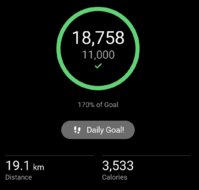 Screenshot_20260120_101603_Garmin Connect.jpg