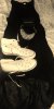 converse (517x1024).jpg