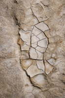 ChatGPT Image Feb 5, 2026, 04_57_41 PM.png