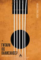 gitara_od_palisander_2d.png