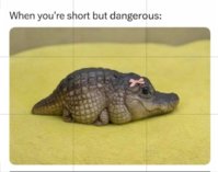 Screenshot_20260313_141439_Photo Editor.jpg