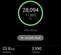 Screenshot_20260321_175857_Garmin Connect.jpg