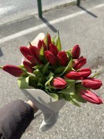 IMG_1034.jpeg