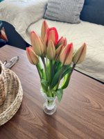 IMG_8914.jpeg