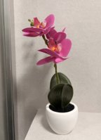 IMG_0973.jpeg