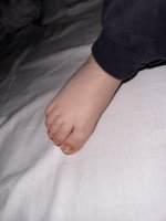 IMG_3584.jpeg