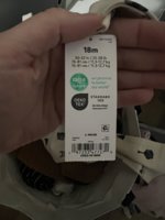 IMG_2566.jpeg