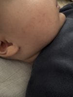 IMG_6973.jpeg