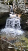 20220806_135244.jpg