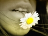 TheButterfly