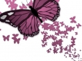 madam-buterfly