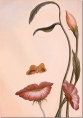 LadyN