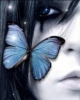butterfly25