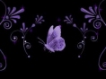 VioletButterfly