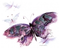 HappyButterfly