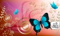 Missbutterfly