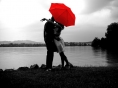 Love.love