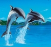 delfin4e