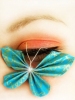 Schmetterling