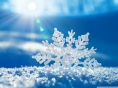 Snow.Girl