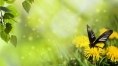Cuteandbeautifull