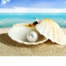 white pearl