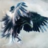 BlackHawk