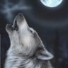 Howling.wolf