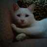 momtobe*