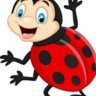Ladybug 2