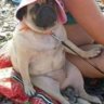 Lola Blondy