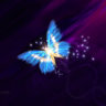 TaintedButterfly