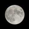 Moon lovers