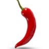 Chilli Pepper