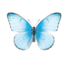 alexinwonderland