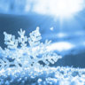 frozenquin