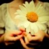HiltonDaisy