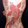 koi-fish