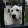 Taja.N